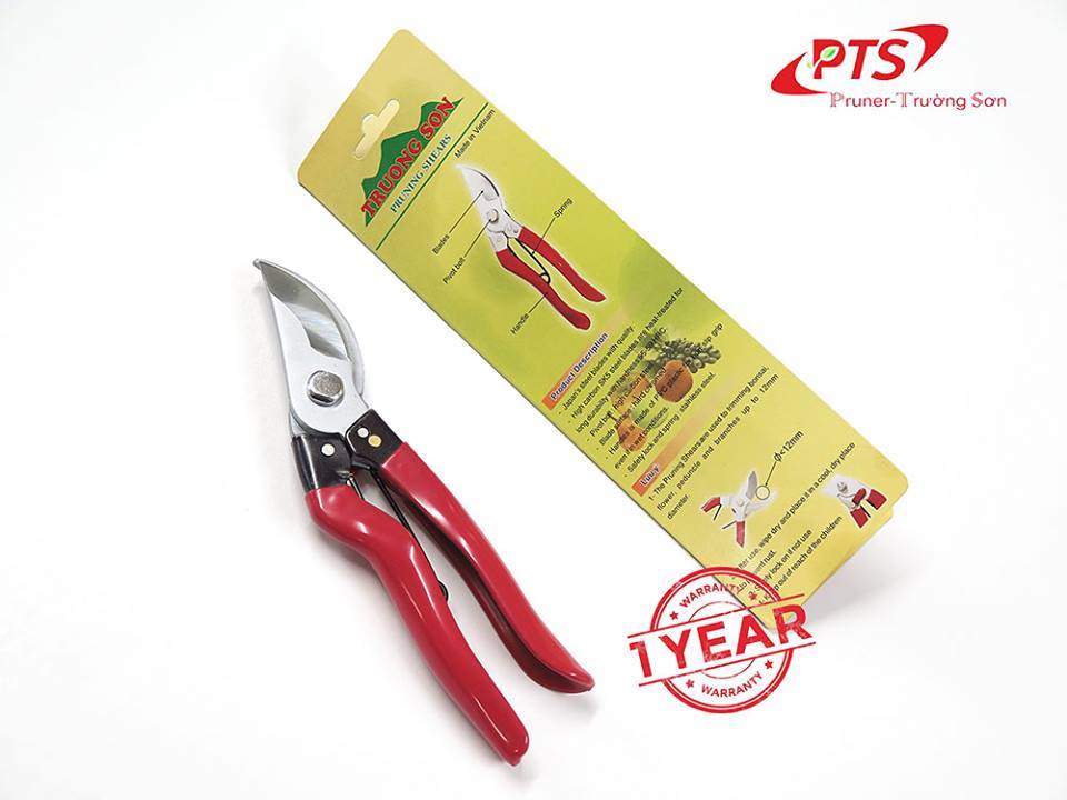 truongsonpruner.com