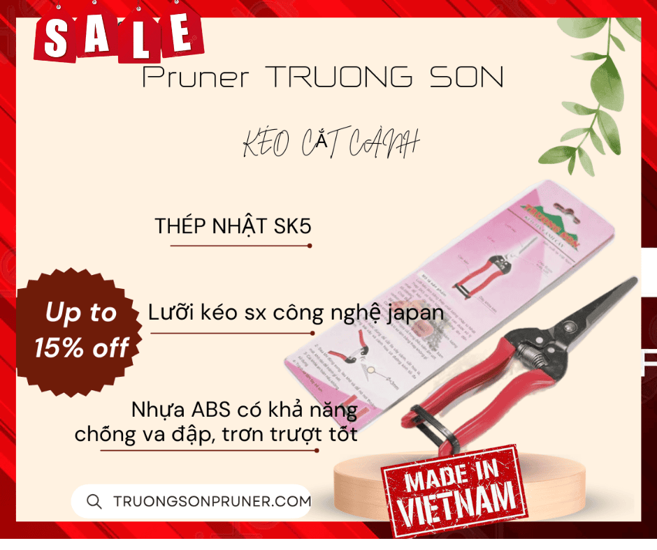 truongsonpruner.com